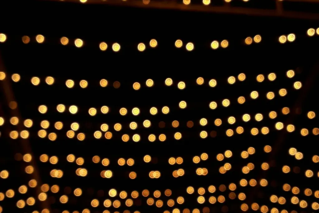 Guirnaldas de bombillas cálidas iluminando el techo de un espacio de celebración